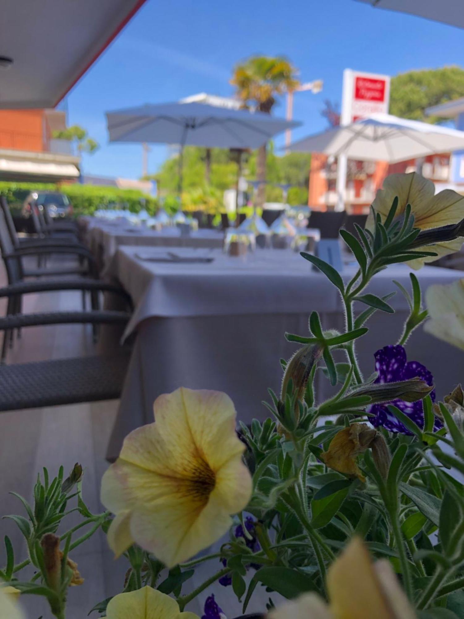 Hotel Corallo Eraclea Mare Eksteriør billede